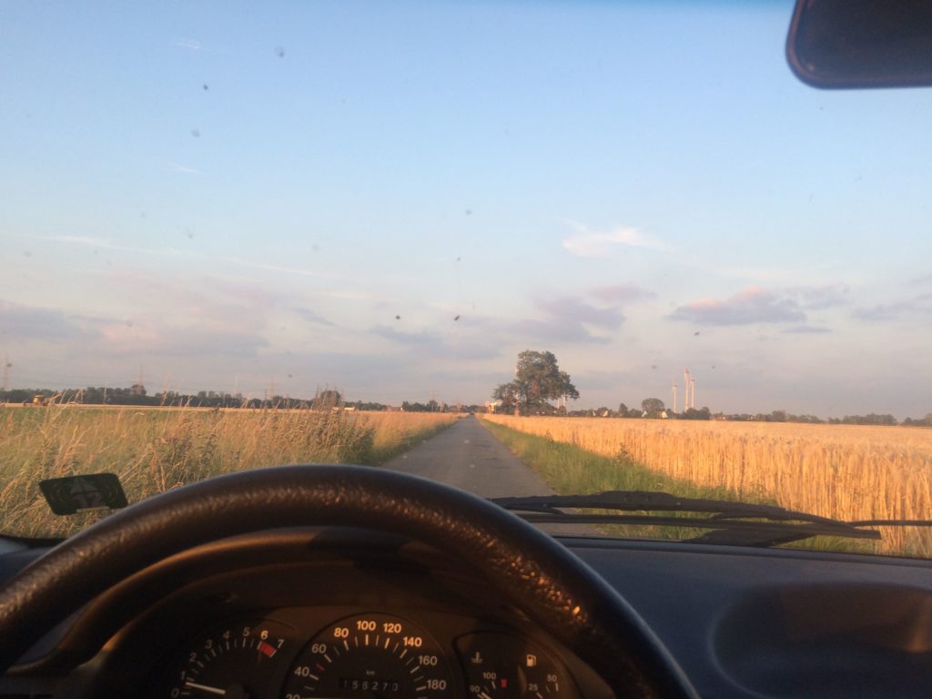 Blick auf Lenkrad und Straße aus der Perspektive des Fahrzeuglenkers