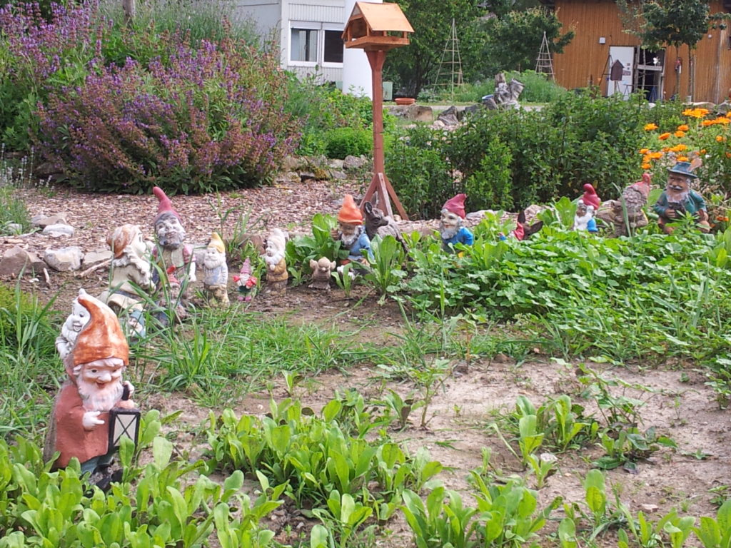 Eine Reihe von Gartenzwergen