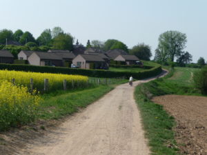 Kleine Straße durch Felder