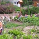 Eine Reihe von Gartenzwergen