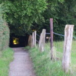 Weg durch den dunklen Wald